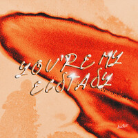 You're My Ecstasy