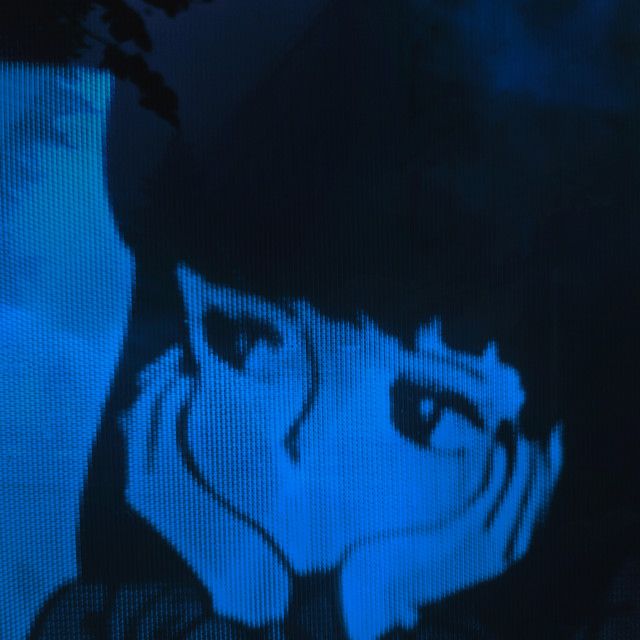 For a Second