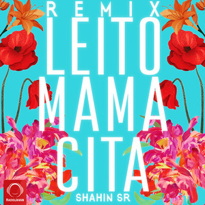 Mamacita - Shahin SR Remix