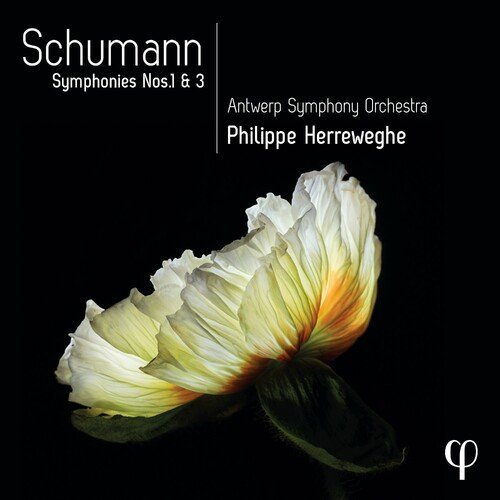 Symphony No. 1 in B-Flat Major, Op. 38 "Spring": II. Larghetto