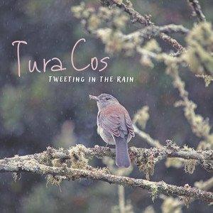 Tweeting in the Rain