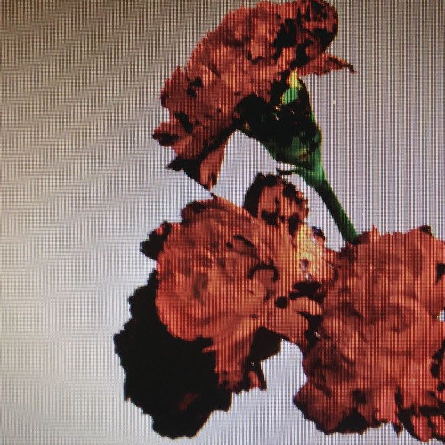 Made to Love - Friend Within Remix
