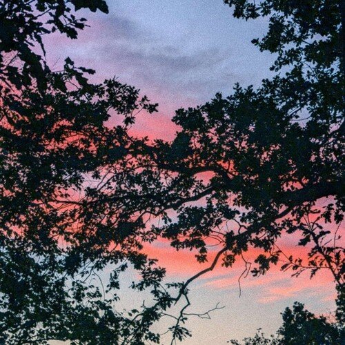 to love someone