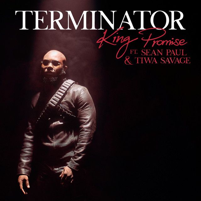 Terminator - Remix