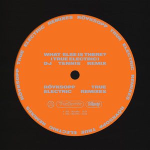 What Else Is There? - DJ Tennis Remix