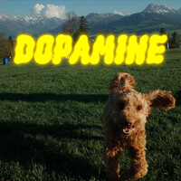 Dopamine