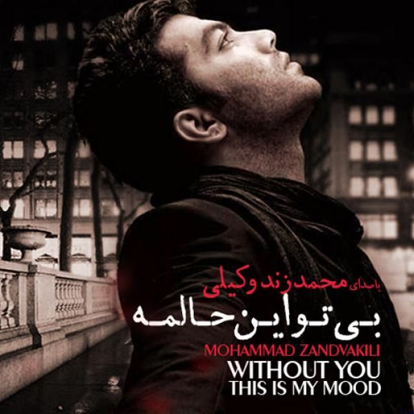 بی تو این حالمه