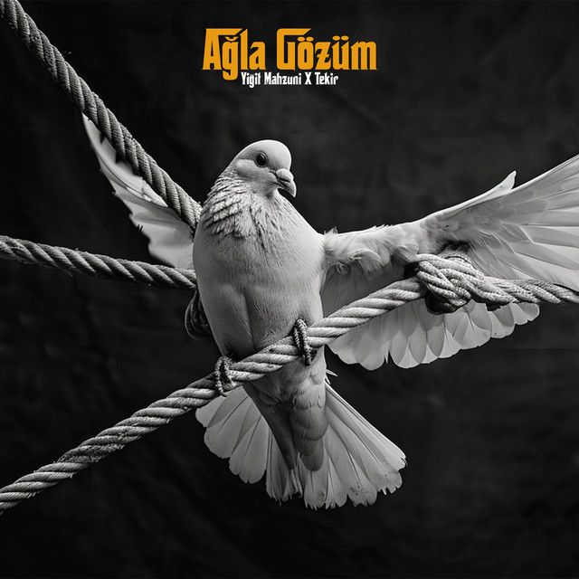 Ağla Gözüm