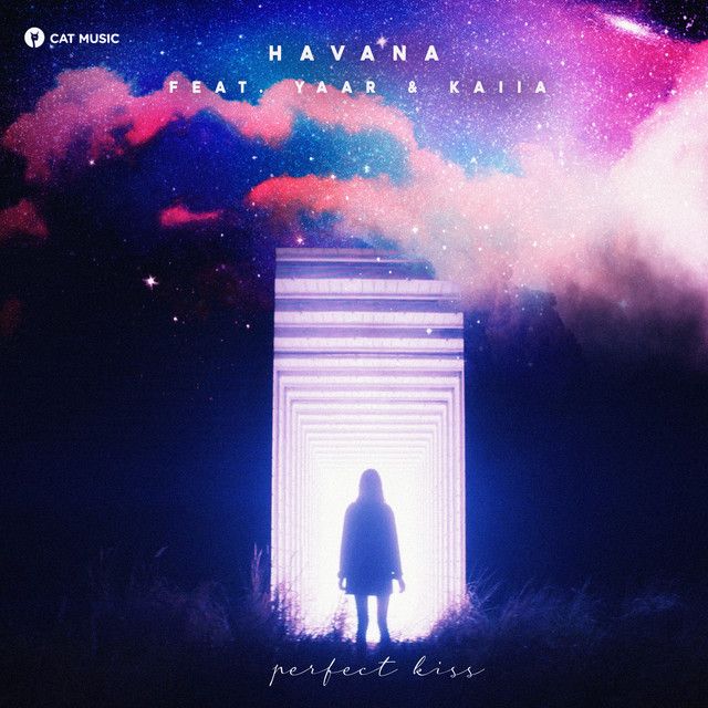 Perfect Kiss - Festum Music Remix