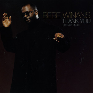 Thank You - 12" Mix