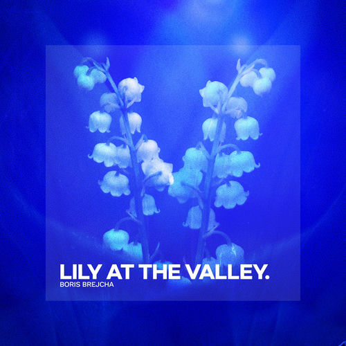 Lily At The Valley