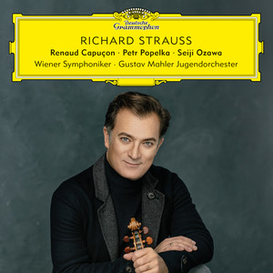 Violin Concerto in D Minor, Op. 8: II. Lento ma non troppo
