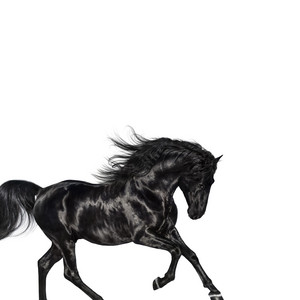 Old Town Road (feat. Billy Ray Cyrus) - Remix