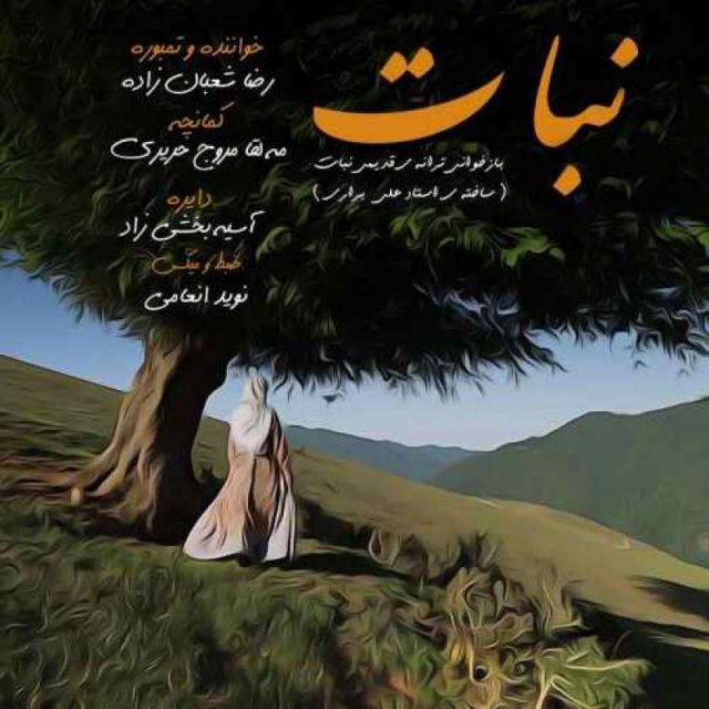نبات