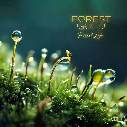 Forest Life