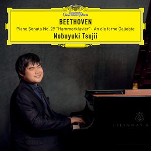 An die ferne Geliebte, Op. 98 (Arr. Liszt for Solo Piano as S. 469): No. 6, Nimm sie hin denn, diese Lieder