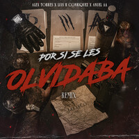 Por Si Se Les Olvidaba - Remix