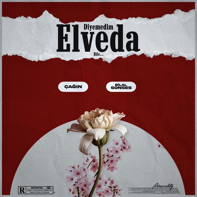 Diyemedim Elveda