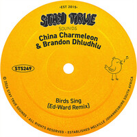 Birds Sing - Ed-Ward Remix