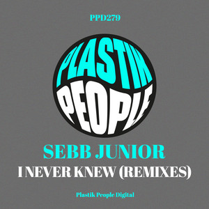 I Never Knew (Remixes) - Nikita Kovalev Remix