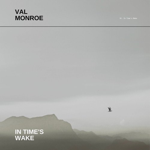 In Time's Wake