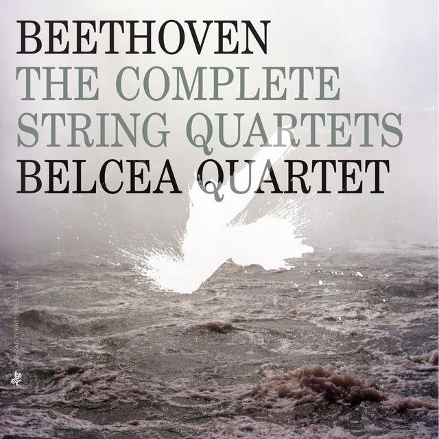String Quartet No. 13 in B-Flat Major, Op. 130: V. Cavatina, adagio molto espressivo