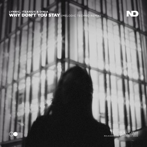 Why Don't You Stay - Melodic Techno Remix