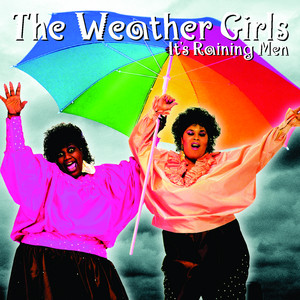 It's Raining Men - Single Version
