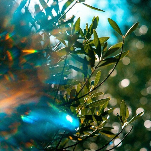 Shimmering