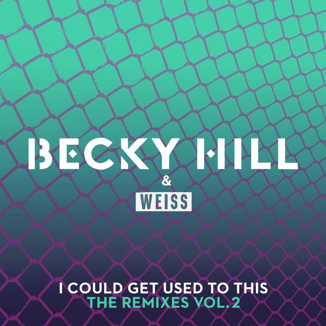 I Could Get Used To This - Paul Woolford Remix