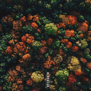 Treetop Dreamers