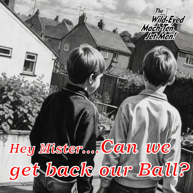 Hey Mister...Can we get back our ball?