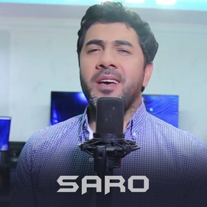 Srtis № № 1