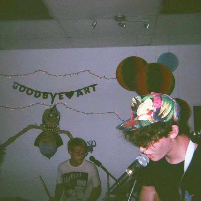 Dreamin' Wild