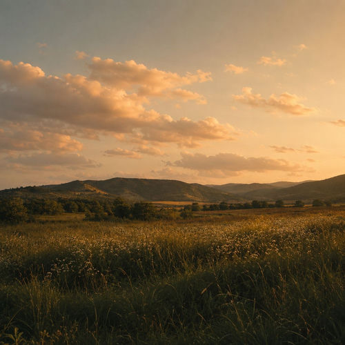 fields