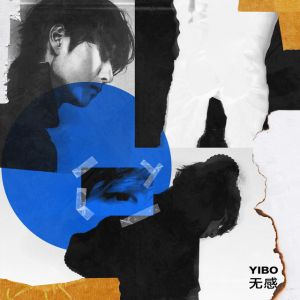 WANG YIBO