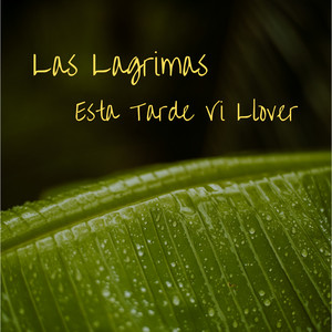 Esta Tarde Vi Llover