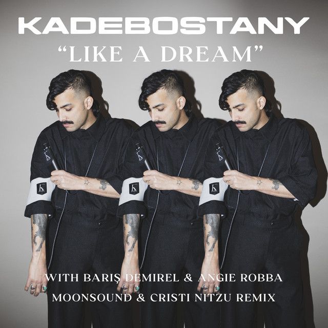 Like a Dream - Moonsound & Cristi Nitzu Remix