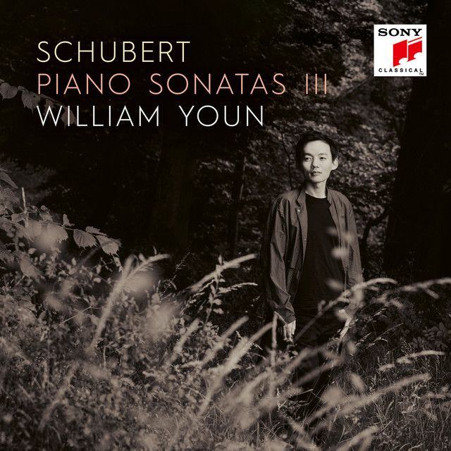 Piano Sonata No. 16 in A Minor, D. 845: I. Moderato