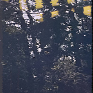 Variations On White Noise