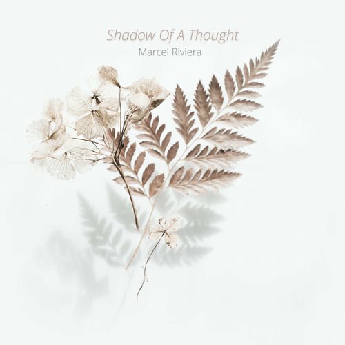 Shadow Of A Thought