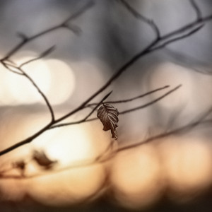 Be Still