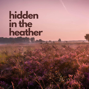 hidden in the heather