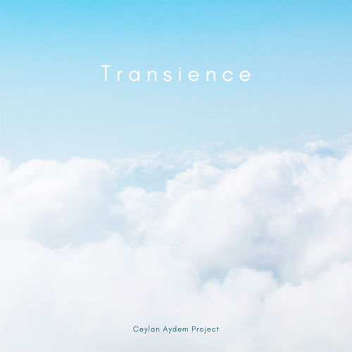 Transience