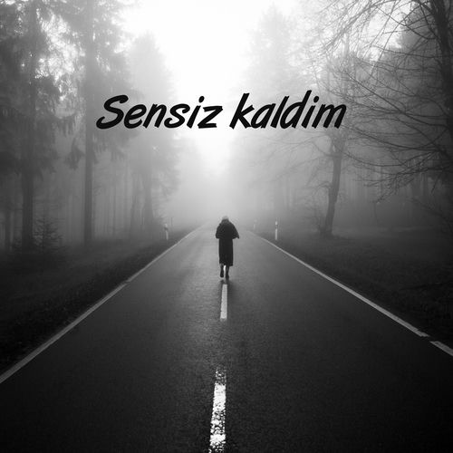 Sensiz kaldim