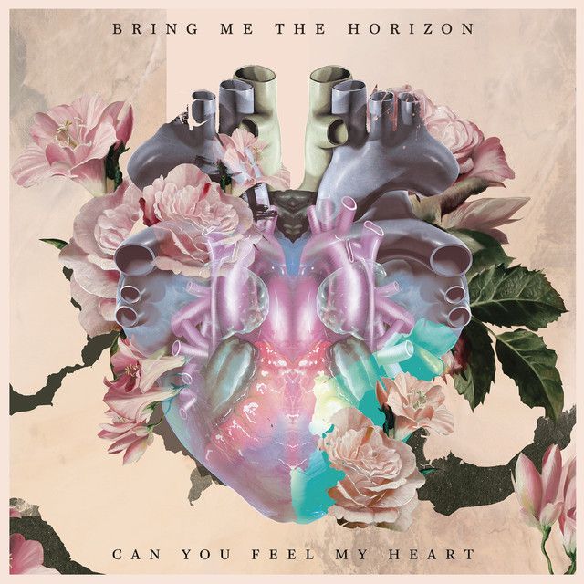 Can You Feel My Heart - Shikari Sound System Remix
