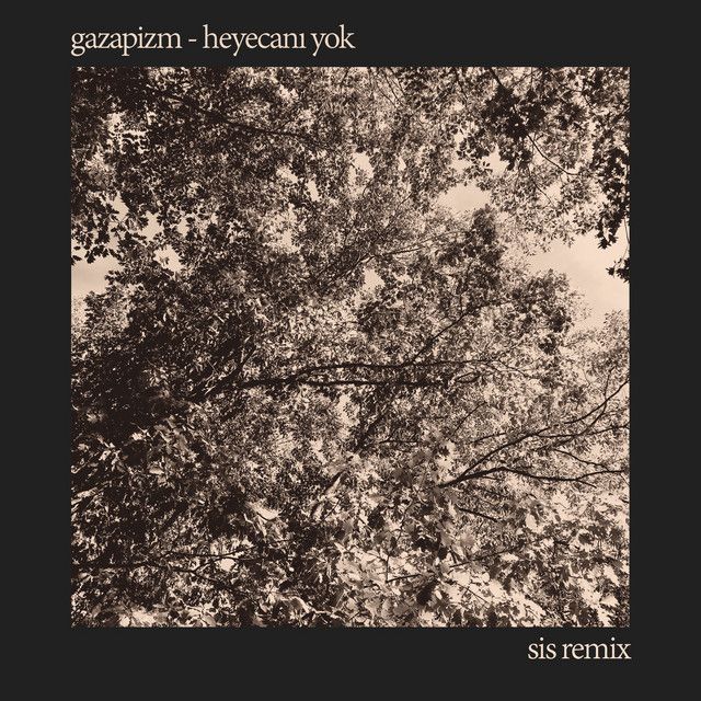Heyecanı Yok - SIS Remix
