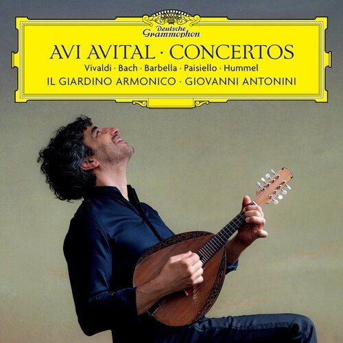 Mandolin Concerto in G Major, S. 28 : Hummel: Mandolin Concerto in G Major, S. 28 - III. Rondo. Allegro (Cadenza: A. Avital)