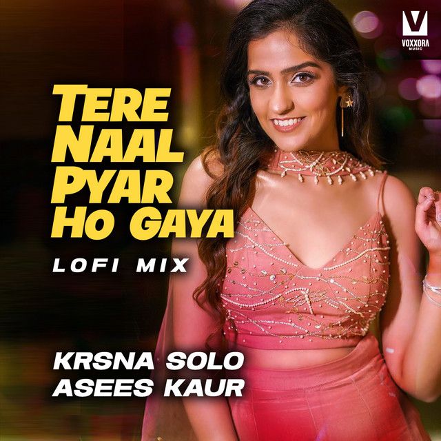 Tere Naal Pyar Ho Gaya - LoFi