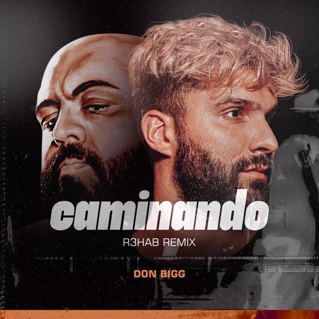 Caminando - R3HAB Remix
